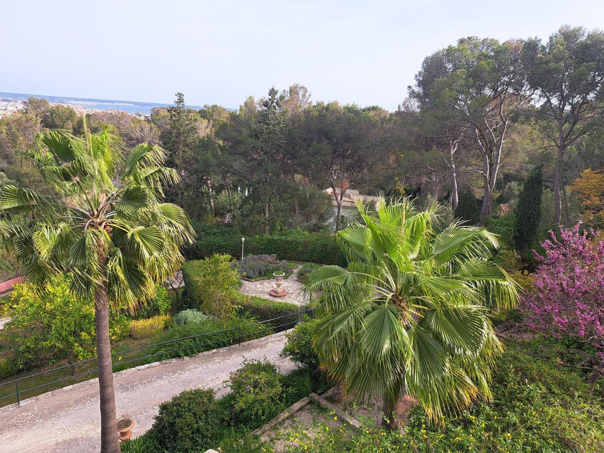 Casa De Las Vistas Palma de Maiorca Exterior foto
